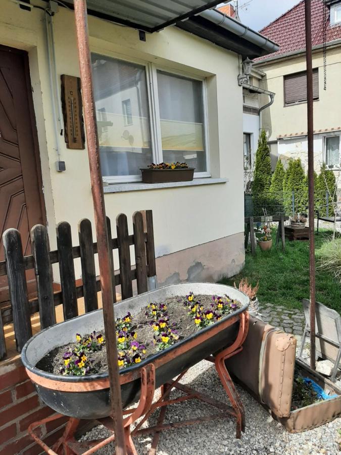 Apartment Sorgenfrei Caputh Exterior foto